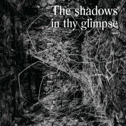 VA - The Shadows In Thy Glimpse: Bedouin Records Selected Discography 2016-2018 (2021)