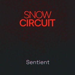 Snow Circuit - Sentient (2022) [Single]