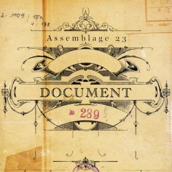 Assemblage 23 - Document (2002) [EP]