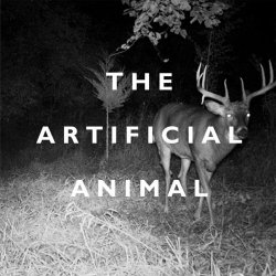 Broken English Club - The Artificial Animal (2022)