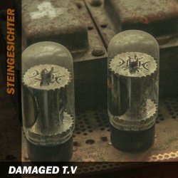 Steingesichter - Damaged TV (2023) [Single]