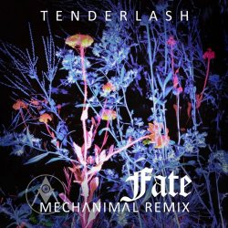 Tenderlash - Fate (Mechanimal Remix) (2022) [Single]