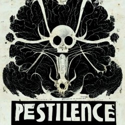 Adam Rå - Pestilence (2022) [Single]