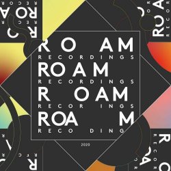 VA - The Roam Compilation Vol. 5 (2020)
