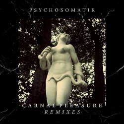 Psychosomatik - Carnal Pleasure •Remixes• (2023) [Single]