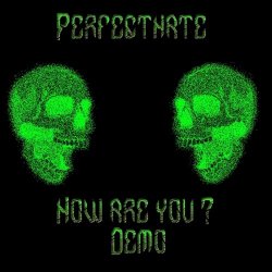 PerfectHate - How Are You (Demo) (2011) [EP]