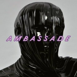 De Ambassade - Young Birds (2022) [Single]