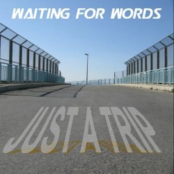 Waiting For Words - Just A Trip (2011)