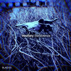 Vexillary - Surviolence (2020) [EP]