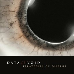 Data Void - Nothing Changes (2024) [Single]
