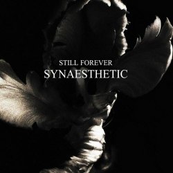 Still Forever - Synaesthetic (2021)