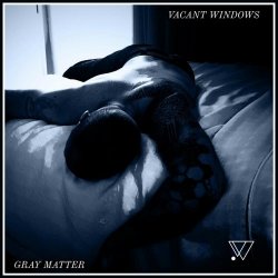 Vacant Windows - Gray Matter (2020)