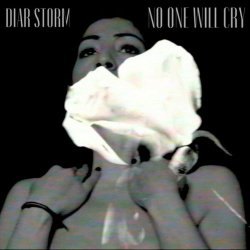 Diar Storm - No One Will Cry (2024) [Single]