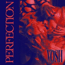 Vosh - Perfection (Single Mix) (2024) [Single]