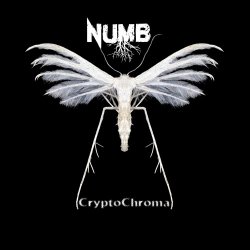 CryptoChroma - Numb (2020)