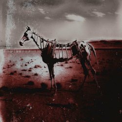 Dead On A Sunday - Goodbye Horses (2023) [Single]