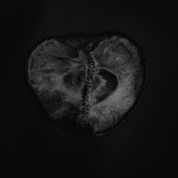 Sádon & Treha Sektori - Symphony Of Dying (2017) [EP]