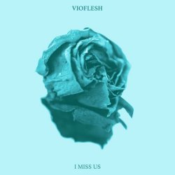 Vioflesh - I Miss Us (2024) [Single]