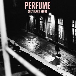 Cult Black Venus - Perfume (2024)