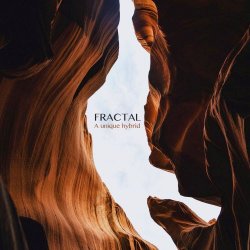 Fractal - A Unique Hybrid (2021)
