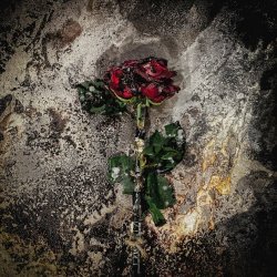 Brotherhood - Valentine (2022) [Single]