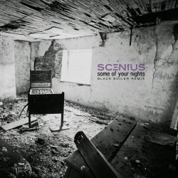 Scenius - Some Of Your Nights (Black Boiler Remix) (2021) [Single]