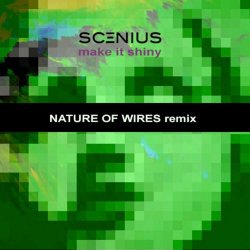 Scenius - Make It Shiny (Nature Of Wires Remix) (2021) [Single]