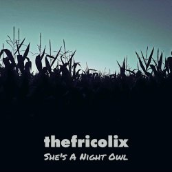 thefricolix - She's A Night Owl (2023) [Single]