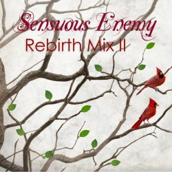 Sensuous Enemy - Rebirth Mix 2 (2024) [Single]