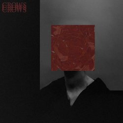 Heimberg - Crows (2024) [Single]