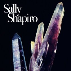 Sally Shapiro - Forget About You (2021) [Single]