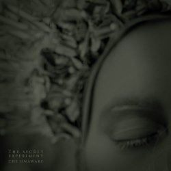 The Secret Experiment - The Unawake (2022) [Single]