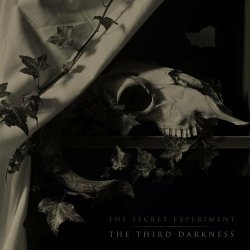 The Secret Experiment - The Third Darkness (2021)