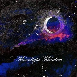 Moonlight Meadow - Moonlight Meadow (2019)
