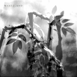 On Hallowed Ground - Wasteland (2024) [EP]
