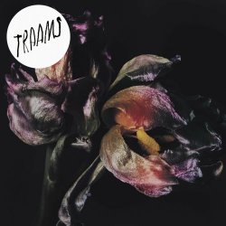 Traams - Ladders (2013) [EP]