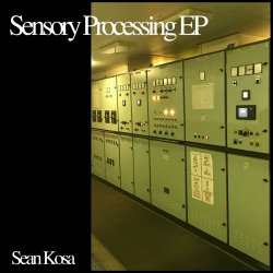 Sean Kosa - Sensory Processing (2023) [Single]