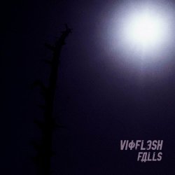 Vioflesh - Falls (2024) [Single]