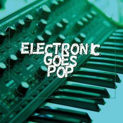 VA - Electronic Goes Pop (2024)