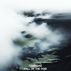 Tineidae - Call Of The Void (2024) [Single]