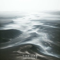 Tineidae - Descent (2024) [Single]