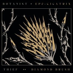 Botanist & Thief - Cicatrix / Diamond Brush (2021) [Split]