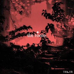 Tricor - The Room (2020) [Single]