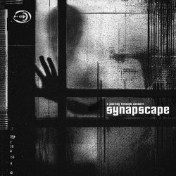 Synapscape - A Journey Through Concern (2020)
