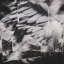 Violet Poison - Albatros (2022) [EP]