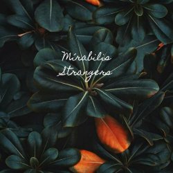 Mirabilis - Strangers (2024) [Single]