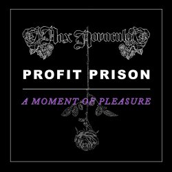 Nox Novacula - Moment Of Pleasure (2021) [Single]