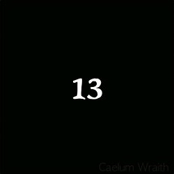 Caelum Wraith - 13 (2024)