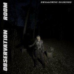 Observation Room - Swallowing Diamonds (2024) [Single]