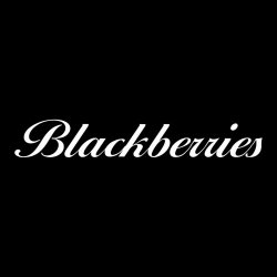 Cold Cave - Blackberries (2024) [Single]